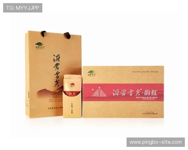 abg欧博官网登录入口会员注册流程优化，提升用户体验的实用技巧与建议