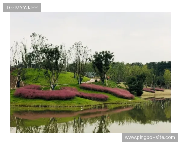 明珠国际：绿色生态环境营造宜居宜业的理想生活与工作环境