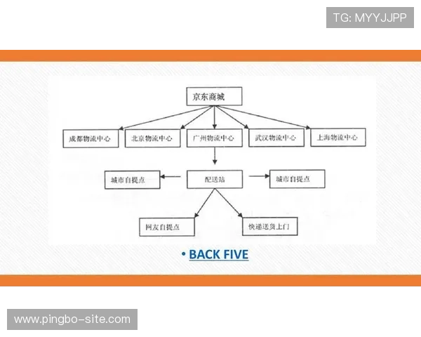 多宝真人网页入口官网详细攻略，介绍登录流程及常见问题的解决技巧