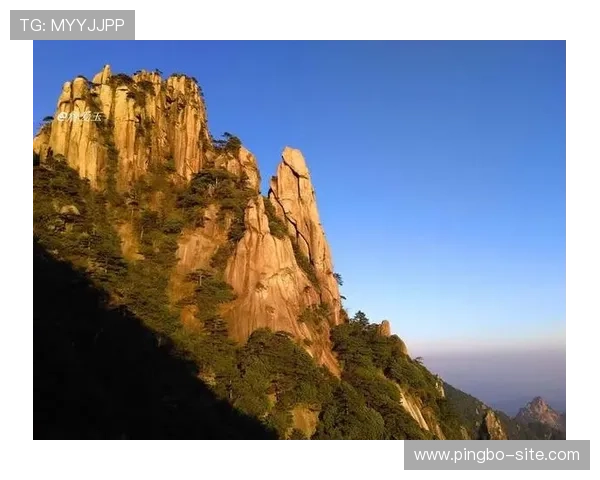 关于开云真人位置的详细介绍与最新的地点信息